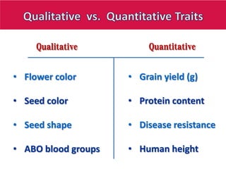 Quantitative trait loci (QTL) analysis and its applications in plant  breeding | PDF