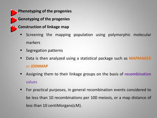Joinmap QTL MAPPING & ANALYSIS | PPTX