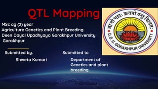 QTL Mapping
MSc ag (2) year
Agriculture Genetics and Plant Breeding
Deen Dayal Upadhyaya Gorakhpur University
Gorakhpur
Submitted by.
Shweta Kumari
Submitted to
Department of
Genetics and plant
breeding
 