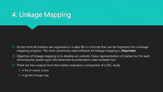 QTL mapping and analysis.pptx