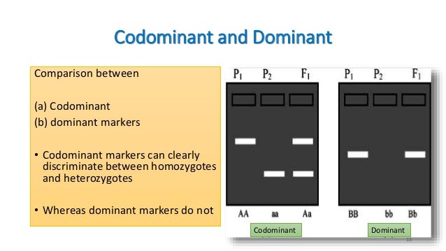 distinguish between dominant and codominant marker