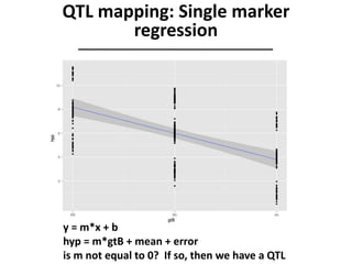 y = m*x + b
hyp = m*gtB + mean + error
is m not equal to 0? If so, then we have a QTL
QTL mapping: Single marker
regression
 