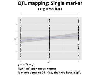 y = m*x + b
hyp = m*gtB + mean + error
is m not equal to 0? If so, then we have a QTL
QTL mapping: Single marker
regression
 