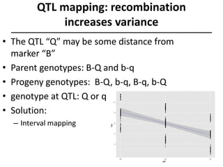 QTL mapping: recombination
increases variance
• The QTL “Q” may be some distance from
marker “B”
• Parent genotypes: B-Q and b-q
• Progeny genotypes: B-Q, b-q, B-q, b-Q
• genotype at QTL: Q or q
• Solution:
– Interval mapping
 