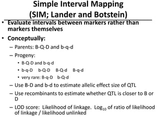 Simple Interval Mapping
(SIM; Lander and Botstein)
• Evaluate intervals between markers rather than
markers themselves
• Conceptually:
– Parents: B-Q-D and b-q-d
– Progeny:
• B-Q-D and b-q-d
• b-q-D b-Q-D B-Q-d B-q-d
• very rare: B-q-D b-Q-d
– Use B-D and b-d to estimate allelic effect size of QTL
– Use recombinants to estimate whether QTL is closer to B or
D
– LOD score: Likelihood of linkage. Log10 of ratio of likelihood
of linkage / likelihood unlinked
 