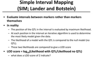 Simple Interval Mapping
(SIM; Lander and Botstein)
• Evaluate intervals between markers rather than markers
themselves
• In reality
– The position of the QTL in the interval is evaluated by maximum likelihood.
– At each position in the interval an iterative algorithm is used to determine
the most likely model given the data.
– The likelihood of a model with the QTL is compared to the null model (no
QTL).
– These two likelihoods are compared to give a LOD score
• LOD score = log10(Likelihood with QTL/Likelihood no QTL)
– what does a LOD score of 2 indicate?
 