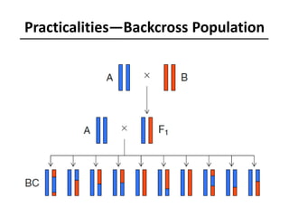 Practicalities—Backcross Population
 