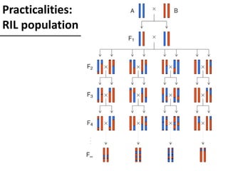 Practicalities:
RIL population
 