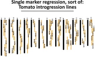 Single marker regression, sort of:
Tomato introgression lines
 