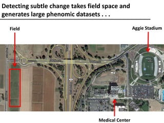 Field Aggie Stadium
Medical Center
Detecting subtle change takes field space and
generates large phenomic datasets . . .
 