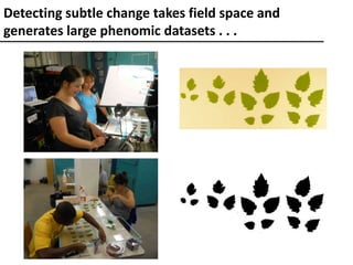 Detecting subtle change takes field space and
generates large phenomic datasets . . .
 