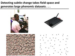 Detecting subtle change takes field space and
generates large phenomic datasets . . .
 