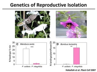 Genetics of Reproductive Isolation
Hoballah et al. Plant Cell 2007
 