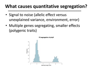What causes quantitative segregation?
• Signal to noise (allelic effect versus
unexplained variance, environment, error)
• Multiple genes segregating, smaller effects
(polygenic traits)
 