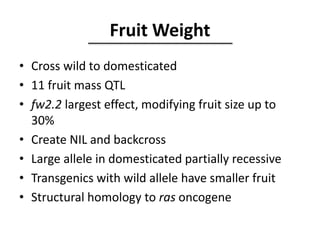 Fruit Weight
• Cross wild to domesticated
• 11 fruit mass QTL
• fw2.2 largest effect, modifying fruit size up to
30%
• Create NIL and backcross
• Large allele in domesticated partially recessive
• Transgenics with wild allele have smaller fruit
• Structural homology to ras oncogene
 