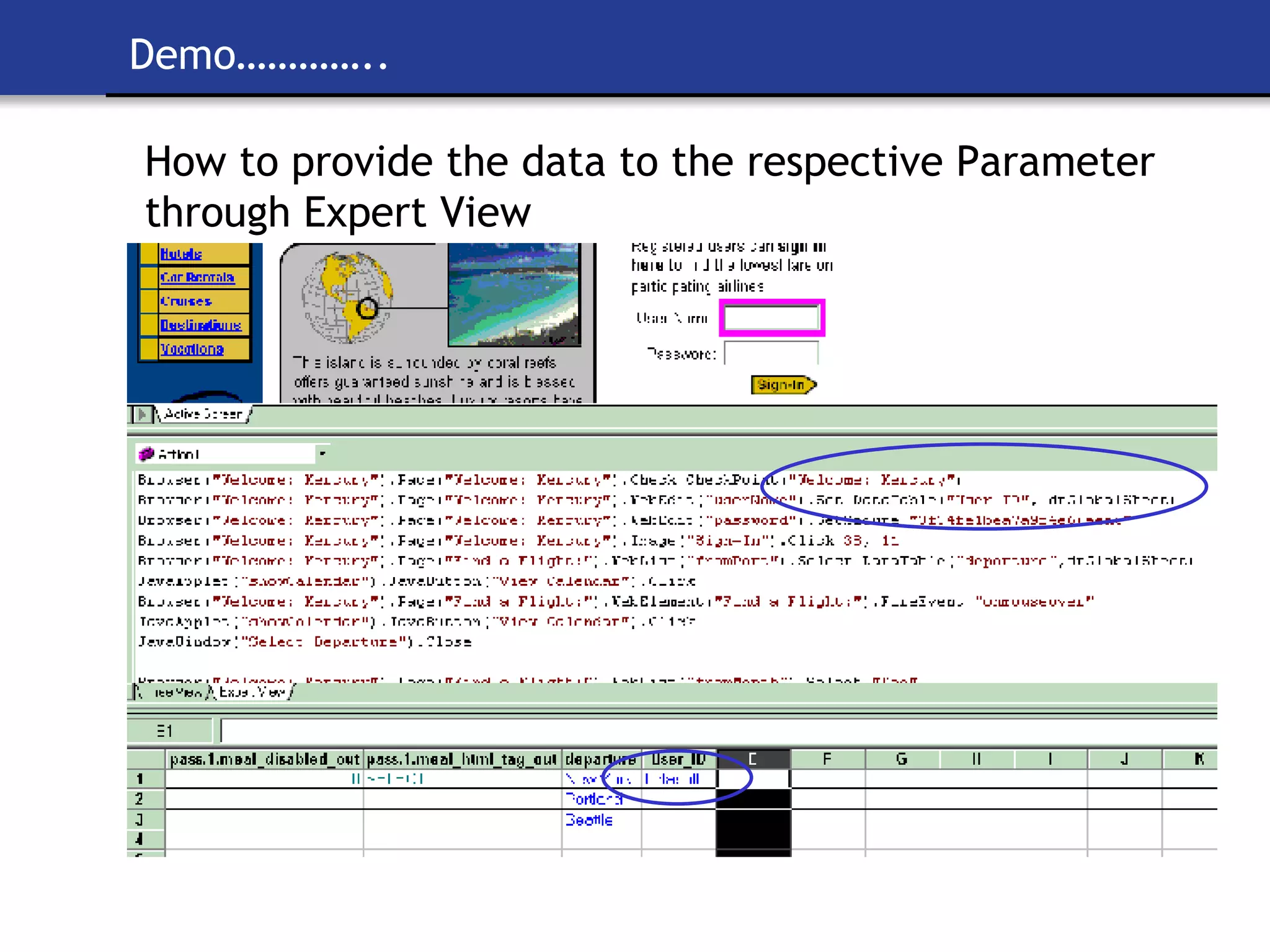 Demo………….. How to provide the data to the respective Parameter through Expert View 