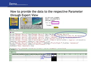 Demo………….. How to provide the data to the respective Parameter through Expert View 