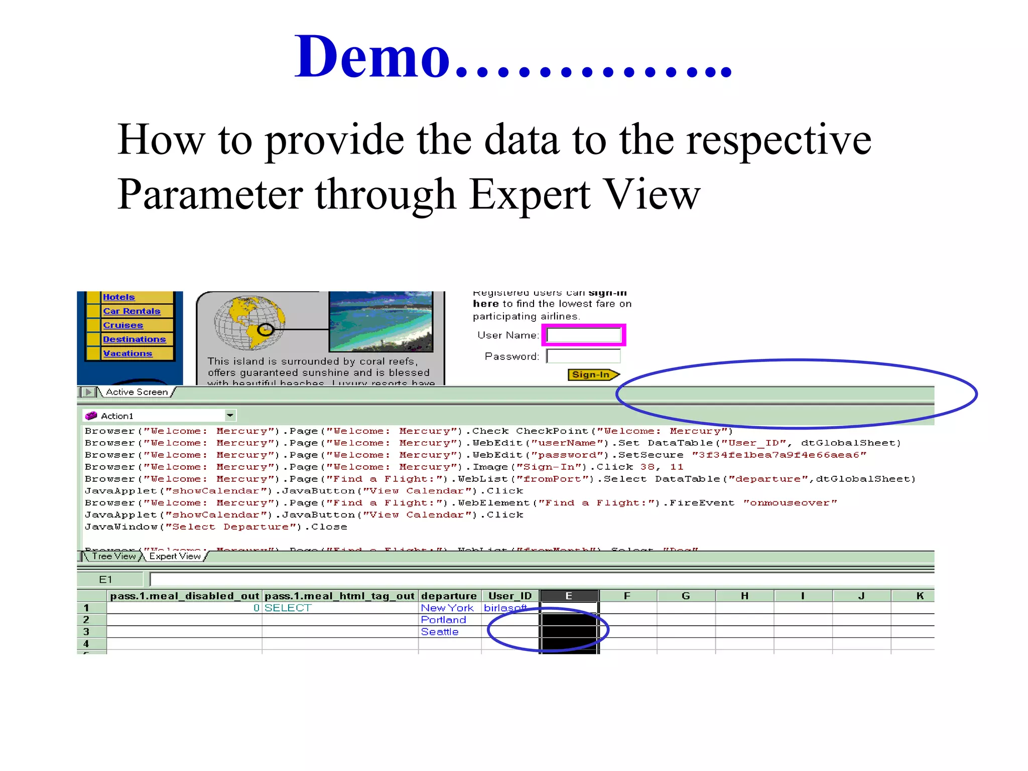 Demo………….. How to provide the data to the respective Parameter through Expert View 