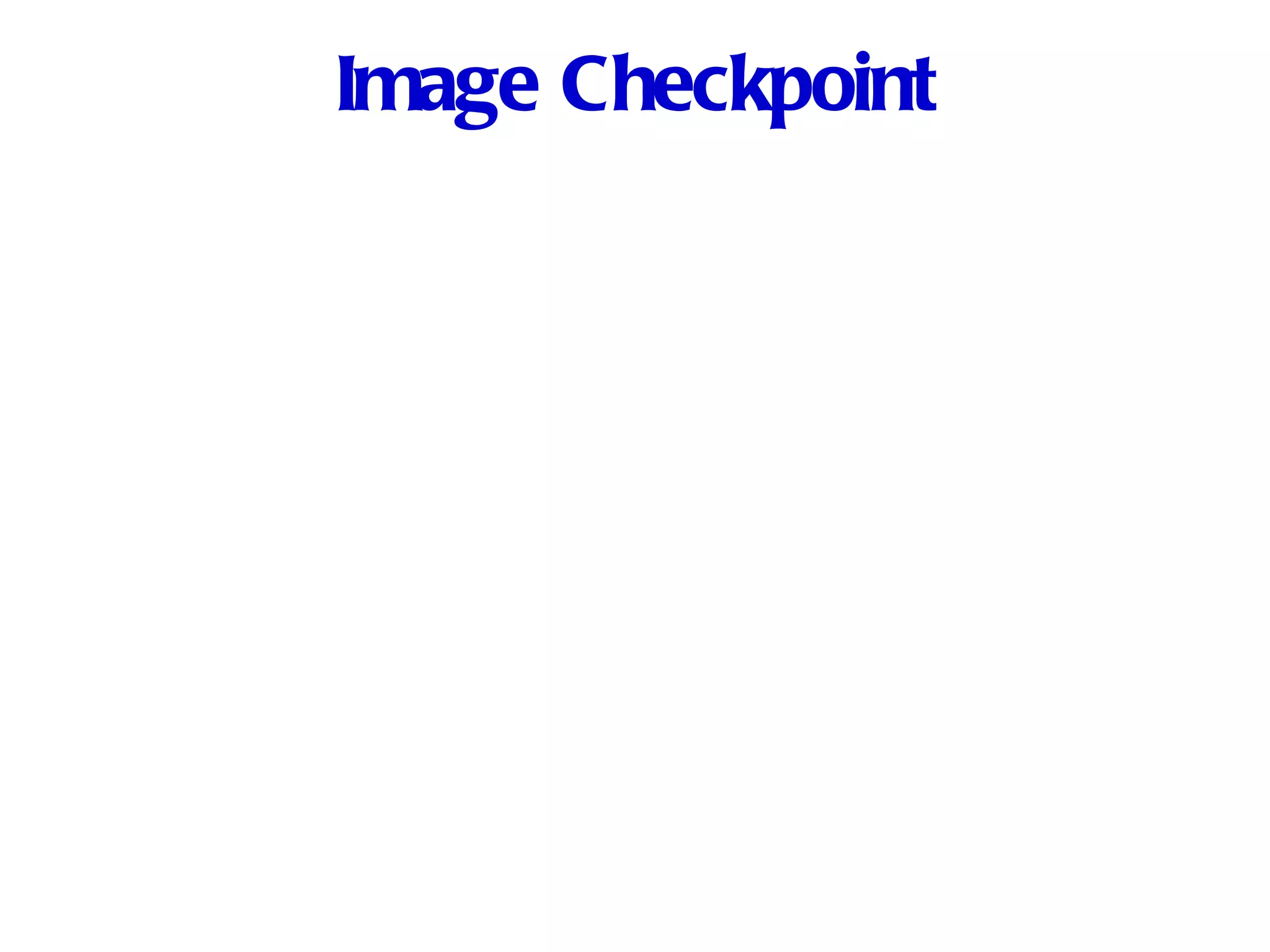 Image Checkpoint 