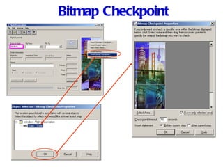 Bitmap Checkpoint 