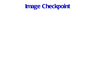 Image Checkpoint 