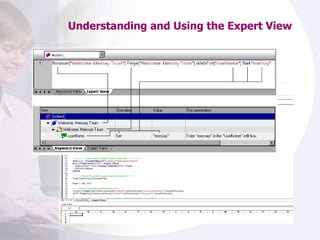 Understanding and Using the Expert View 