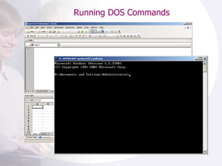 Running DOS Commands  
