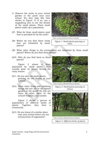 2. Observe the rocks in your school
   garden or the pond near your
   school. Do they look like that
   shown in Figure 1? If so, use a
   magnifying lens to see the details
   of the small plants. These small
   plants make up a population.

Q7. What do these small plants need
    that is provided for by the rock?
                                                       Photo: Courtesy of Michael Anthony B. Mantala

Q8. Where do you find these rocks                         Figure 1. Small plants growing on
    that are inhabited by small                                        rocks
    plants?

Q9. What other things in the environment are inhabited by these small
    plants? Where do you find these things?

Q10. Why do you find them in these
    places?

      Figure  2  shows  a    fence
populated by small plants. They
usually grow on fences during the
rainy season.

Q11. Do you also see small plants
     growing on the fences of your
     school?
                                                        Photo: Courtesy of Michael Anthony B. Mantala

Q12. What other living and nonliving                       Figure 2. Small plants growing on
     things did you see in the school                                   fences
     garden or the pond? Do you see
     them in other parts of the
     school? Explain your answer.

      Figure 3 shows a picture of
populations of different kinds of
plants.   Together, they  form  a
community.

Q13. Do you know of a similar place
     near your school where you see
     communities of organisms?                          Photo: Courtesy of Michael Anthony B. Mantala

                                                           Figure 3. Different kinds of plants




Grade 7 Science: Living Things and Their Environment                                                    3
Interactions
 