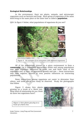 Ecological Relationships
       In the environment, there are plants, animals, and microscopic
organisms such as bacteria and fungi. Each group of organisms of the same
kind living in the same place at the same time is called a population.

Q24. In figure 4 below, what populations of organisms do you see?




            Photo: Courtesy of Rodolfo S. Treyes

            Figure 4. An example of an ecosystem with different organisms


      All of the populations interact in a given environment to form a
community. In a community interactions within and among populations
may have important influences to death rate and birth rates of the
organisms and, in turn, on population growth and size -- these interactions
may have negative, neutral or even positive influences on interacting
populations.

       Some interactions among organisms are easier to determine than
others, and some effects can easily be observed. Study the photographs
that follow.

      Figure 5 shows fern plants
growing on a trunk of a Narra tree.
What kind of relationship do you think
do these two organisms have?




     Figure 5. Fern plants growing on a
     trunk of a Narra tree.
                                                       Photo: Courtesy of Rodolfo S. Treyes


Grade 7 Science: Living Things and Their Environment                                          7
Interactions
 