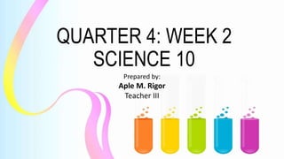 QUARTER 4: WEEK 2
SCIENCE 10
Prepared by:
Aple M. Rigor
Teacher III
 