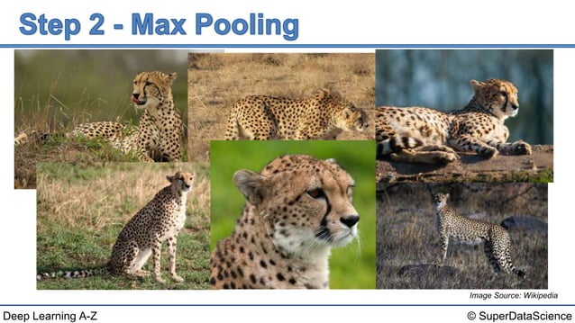 Deep Learning A-Z™: Convolutional Neural Networks (CNN) - Module 2