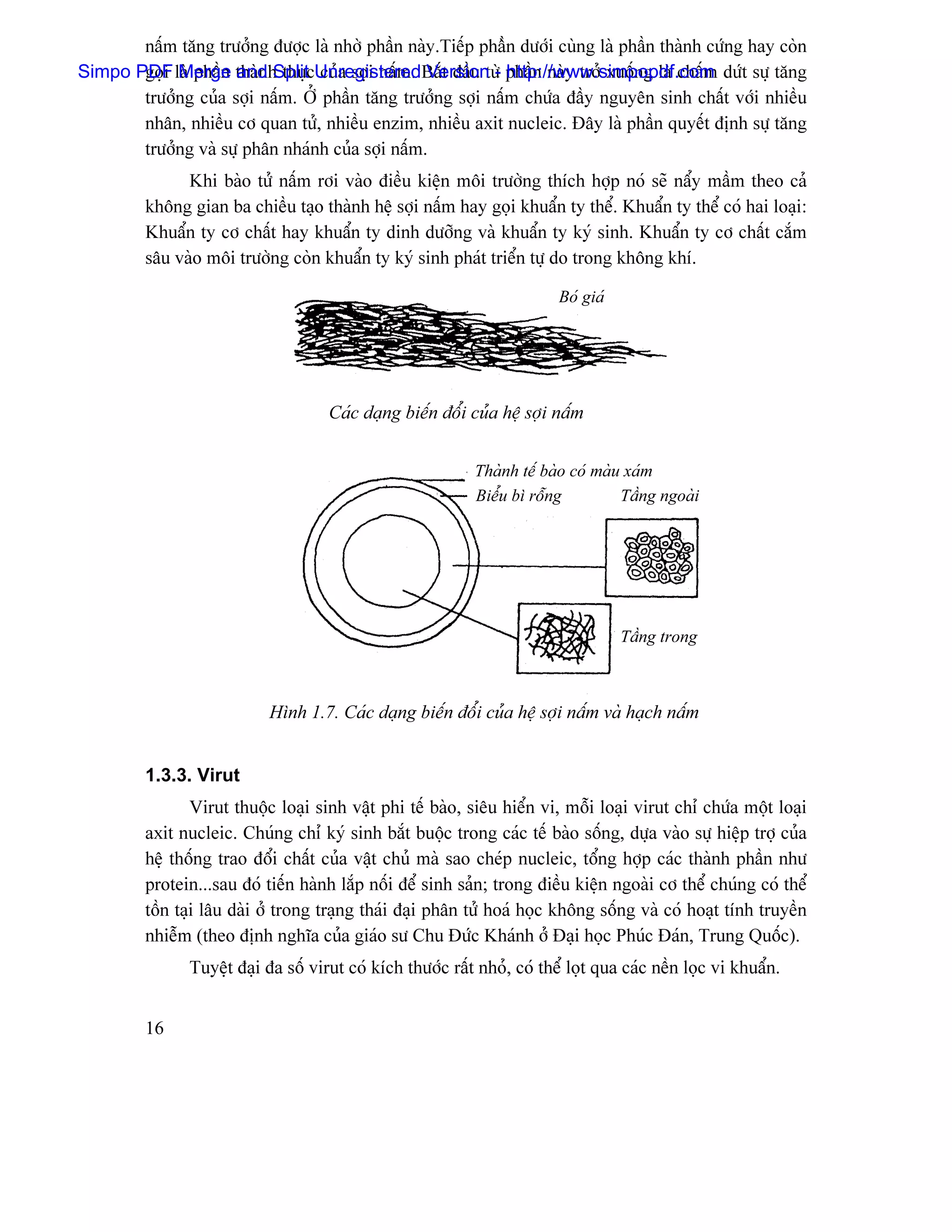 náúm tàng træåíng âæåüc laì nhåì pháön naìy.Tiãúp pháöìn dæåïi cuìng laì pháön thaình cæïng hay coìn
Simpo PDF laì pháön thaình thuûcUnregisteredBàõt âáöu tæì pháön naìy tråí xuäúng laì cháúm dæït sæû tàng
       goüi Merge and Split cuía såüi náúm. Version - http://www.simpopdf.com
       træåíng cuía såüi náúm. ÅÍ pháön tàng træåíng såüi náúm chæïa âáöy nguyãn sinh cháút våïi nhiãöu
       nhán, nhiãöu cå quan tæí, nhiãöu enzim, nhiãöu axit nucleic. Âáy laì pháön quyãút âënh sæû tàng
       træåíng vaì sæû phán nhaïnh cuía såüi náúm.
               Khi baìo tæí náúm råi vaìo âiãöu kiãûn mäi træåìng thêch håüp noï seî náøy máöm theo caí
         khäng gian ba chiãöu taûo thaình hãû såüi náúm hay goüi khuáøn ty thãø. Khuáøn ty thãø coï hai loaûi:
         Khuáøn ty cå cháút hay khuáøn ty dinh dæåîng vaì khuáøn ty kyï sinh. Khuáøn ty cå cháút càõm
         sáu vaìo mäi træåìng coìn khuáøn ty kyï sinh phaït triãøn tæû do trong khäng khê.

                                                                            Boï giaï




                                      Caïc daûng biãún âäøi cuía hãû såüi náúm


                                                              Thaình tãú baìo coï maìu xaïm
                                                              Biãøu bç räùng          Táöng ngoaìi




                                                                                       Táöng trong



                             Hçnh 1.7. Caïc daûng biãún âäøi cuía hãû såüi náúm vaì haûch náúm


         1.3.3. Virut
                 Virut thuäüc loaûi sinh váût phi tãú baìo, siãu hiãøn vi, mäùi loaûi virut chè chæïa mäüt loaûi
         axit nucleic. Chuïng chè kyï sinh bàõt buäüc trong caïc tãú baìo säúng, dæûa vaìo sæû hiãûp tråü cuía
         hãû thäúng trao âäøi cháút cuía váût chuí maì sao cheïp nucleic, täøng håüp caïc thaình pháön nhæ
         protein...sau âoï tiãún haình làõp näúi âãø sinh saín; trong âiãöu kiãûn ngoaìi cå thãø chuïng coï thãø
         täön taûi láu daìi åí trong traûng thaïi âaûi phán tæí hoaï hoüc khäng säúng vaì coï hoaût tênh truyãön
         nhiãùm (theo âënh nghéa cuía giaïo sæ Chu Âæïc Khaïnh åí Âaûi hoüc Phuïc Âaïn, Trung Quäúc).
                Tuyãûût âaûi âa säú virut coï kêch thæåïc ráút nhoí, coï thãø loüt qua caïc nãön loüc vi khuáøn.


         16
 