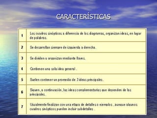 CARACTERÍSTICAS     