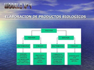ELABORACION DE PRODUCTOS BIOLOGICOS   MODELO Nº 1 