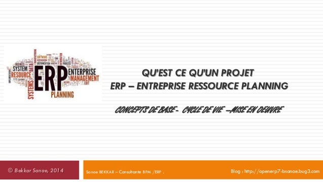 Qu’est ce qu’un projet ERP  Entreprise Resource Planning