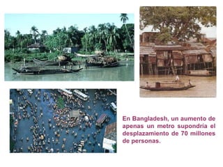 ¿Qué es el Cambio Climático?