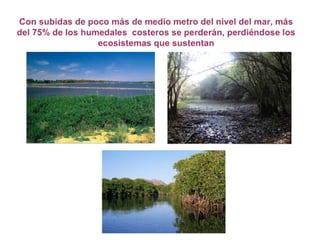 ¿Qué es el Cambio Climático?