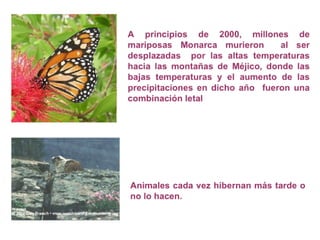 ¿Qué es el Cambio Climático?