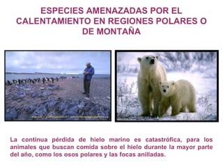 ¿Qué es el Cambio Climático?