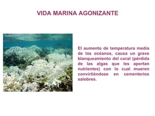 ¿Qué es el Cambio Climático?