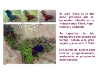 ¿Qué es el Cambio Climático?
