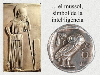 ... el mussol, símbol de la intel·ligència 