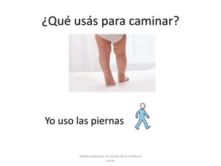¿Qué usás para caminar?
Yo uso las piernas
Andrea Sequeira. El sonido de la hierba al
crecer