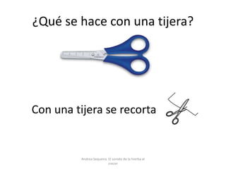 ¿Qué se hace con una tijera?
Con una tijera se recorta
Andrea Sequeira. El sonido de la hierba al
crecer