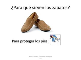 ¿Para qué sirven los zapatos?
Para proteger los pies
Andrea Sequeira. El sonido de la hierba al
crecer