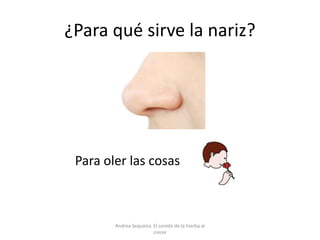 ¿Para qué sirve la nariz?
Para oler las cosas
Andrea Sequeira. El sonido de la hierba al
crecer