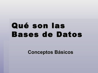 Qué son las Bases de Datos Conceptos Básicos 