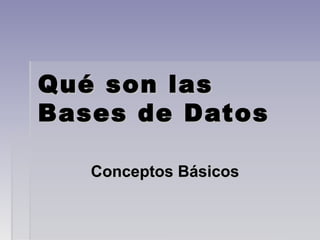 Qué son las
Bases de Datos
Conceptos Básicos

 