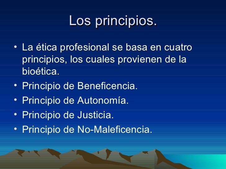 Qué Son Los Principios