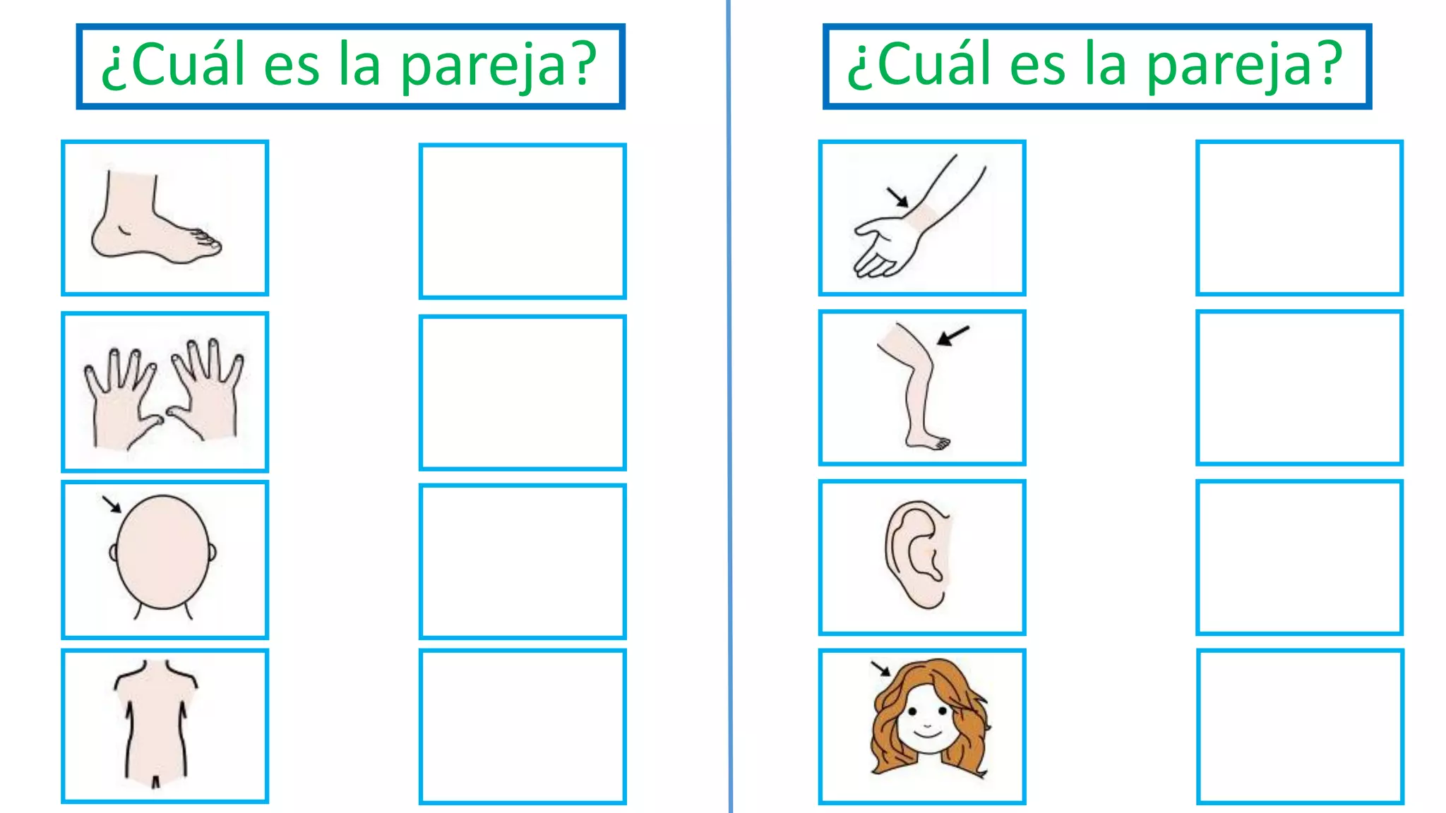 ¿Cuál es la pareja? ¿Cuál es la pareja?